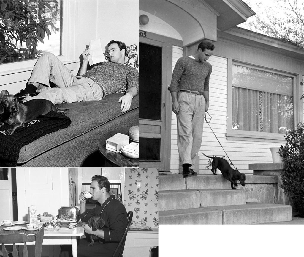 Marlon Brando Guide To what to wear at Home by Silviu Tolu /silviutolu.com